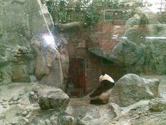 10-北京动物园