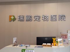 -瑞鹏宠物医院·骨科·猫科·内科(第一中心)