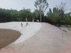 -大望京公园