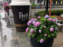 -Peet's Coffee皮爷咖啡(大学路店)