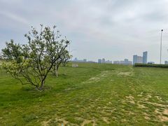 -艾溪湖湿地公园