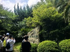 -汉拿树木园