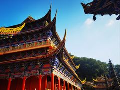 -东莞市大岭山森林公园