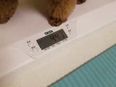 -派联宠物医院·24h·CT·异宠