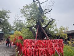 -代州文庙