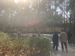 -徐家汇源景区-衡山公园