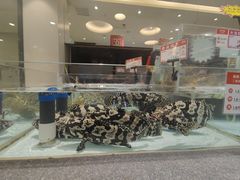 -万龙洲海鲜(大兴绿地缤纷城店)