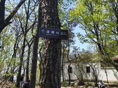 -虞山风景区