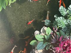 -广州白天鹅宾馆