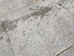 -香港皇家太平洋酒店