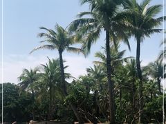 -白沙门生态公园