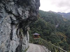 -苍山感通索道