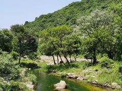 -武汉姚家山旅游景区