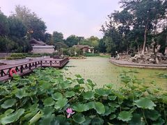 -莲湖公园