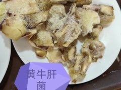 -东巴谷野生菌火锅餐厅