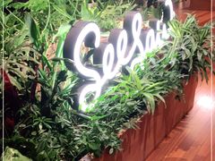 -Seesaw Coffee(朝阳大悦城店)