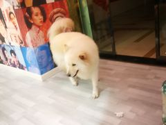 -肆兮眼镜·蔡司·徕卡战略合作店(大坪店)