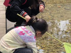 -沙河三洞古桥公园