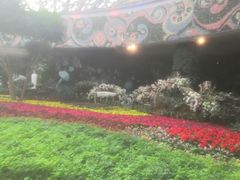 -花之城