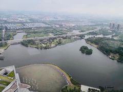 -嘉定凯悦·咖啡厅