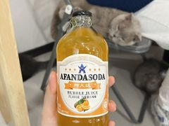 -共舞时光猫咖·狗咖(新街口店)