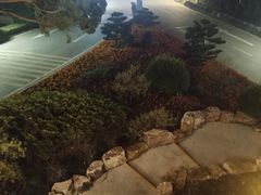 -上海市保健医疗中心