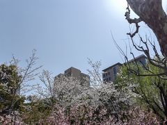-黄兴公园