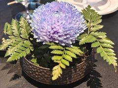 -茶人村·前滩江景雅宴(上海首店)