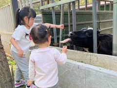 -洪湖家庭农场·团建·露营·会议