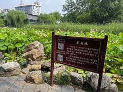 -莲湖公园