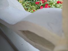 -台州府城(东湖)