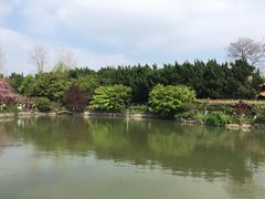-嘉定紫藤园