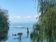 -捞渔河湿地公园
