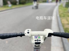 -莫愁湖公园