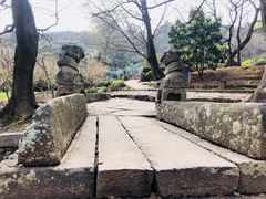 -雨花胜境