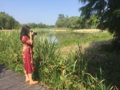 -溱湖国家湿地公园