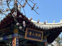 -桃花堤公园
