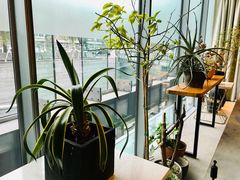 靠窗位-半山腰·云南菜(侨福芳草地店)