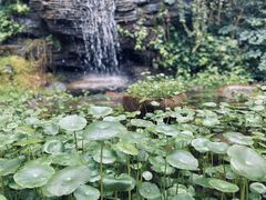 -天目湖御水温泉·度假酒店