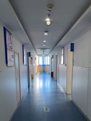 -温州伯思立医院