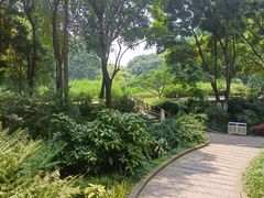 -成都市活水公园