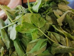 豌豆尖-抚仙湖生态石锅鱼野生菌(告庄店)
