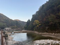 -牛背梁国家森林公园
