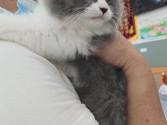 -爱佳宠物中心医院24H·CT·骨外科·猫专科(瑶海万达店)
