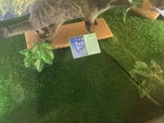 -下渚湖国家湿地公园科普馆