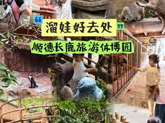 -长鹿旅游休博园