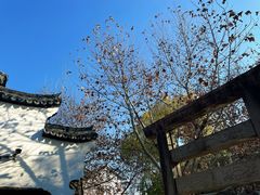 -黎里古镇