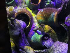 -太平洋海底世界