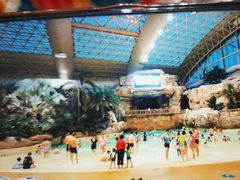 -杭州开元森泊度假乐园