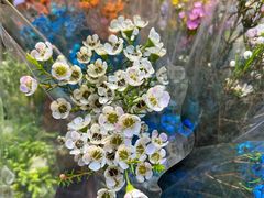 -循礼门鲜花花市(武汉循礼门店)